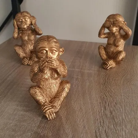 Frühstückspension Proche Centre, Gare, Parc, Parking By Maison Bonhage 3*